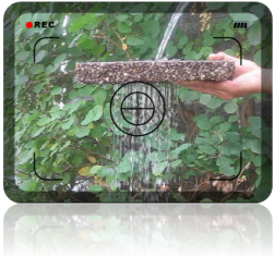 View Our Video Demonstration Here View Our Video Demonstration Here